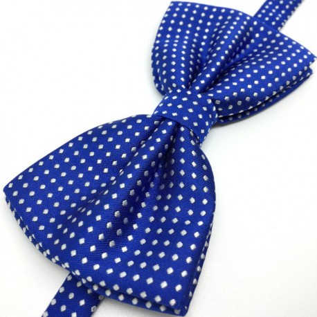 noeud de papillon bleu