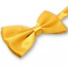 Noeud-papillon jaune-orangé