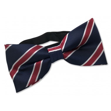 Nœud Papillon Réglable Déjà Noué Pour Homme - Avec Pochette Assortie, Pour Mariage, Fête Ou événement Formel