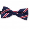 noeud-papillon bleu, blanc, rouge